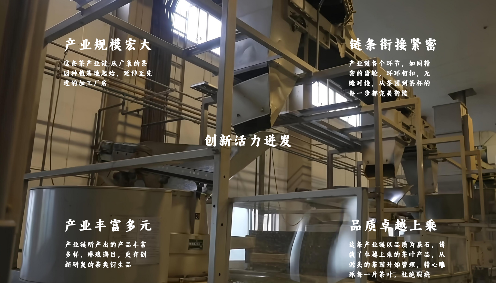 云雾贡茶门店