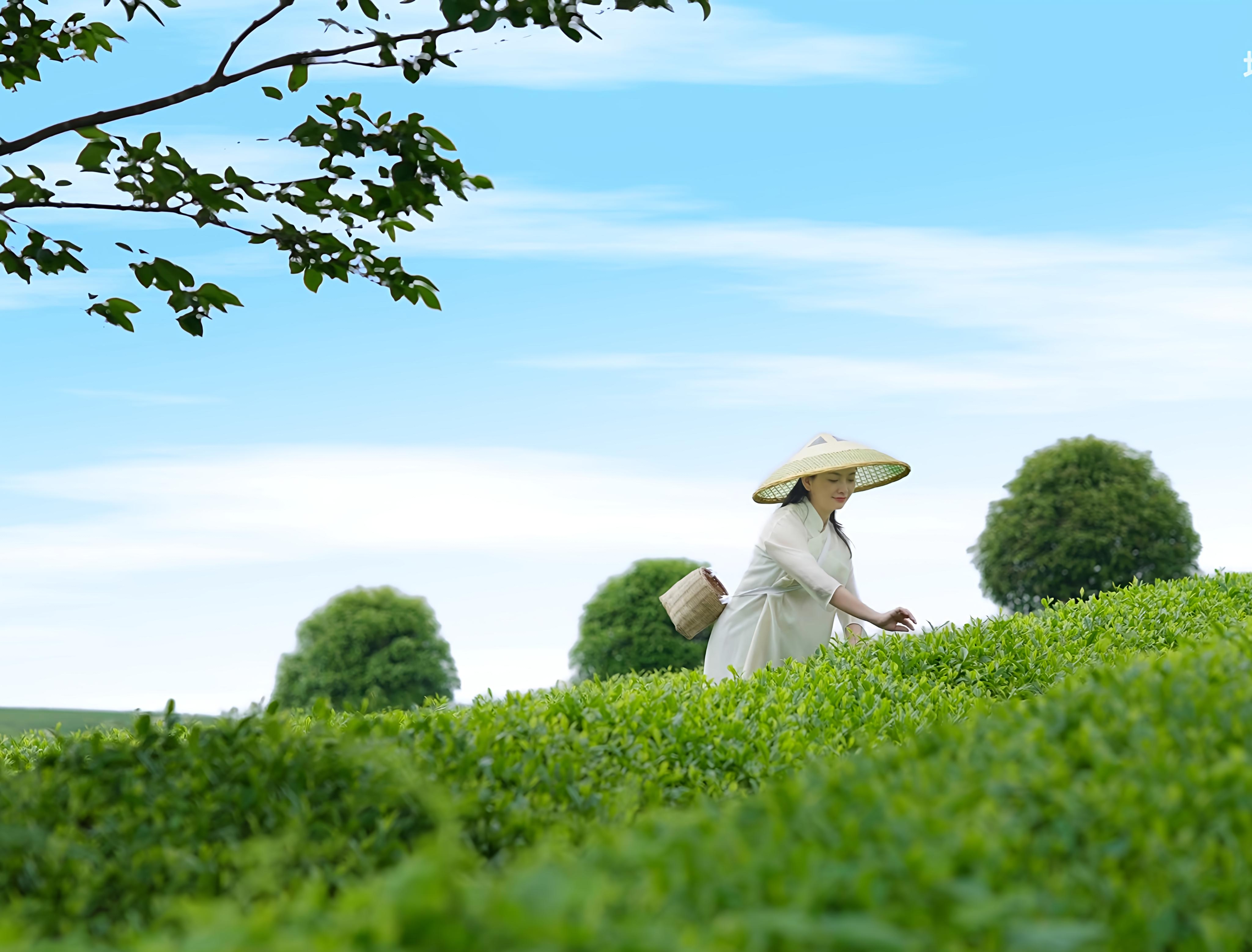 乡村振兴